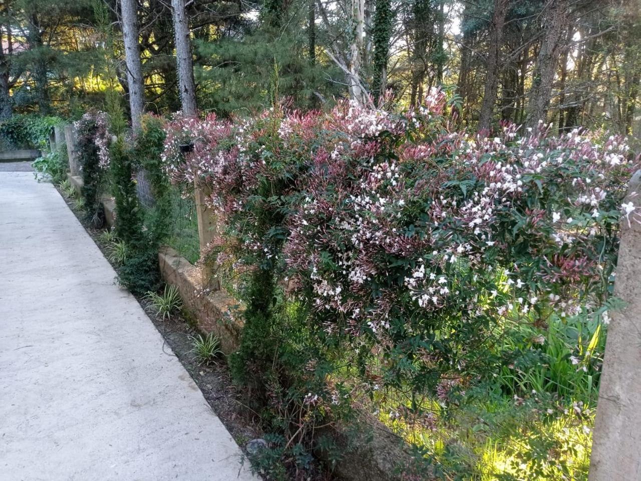 A Vida E Bella - Gramado Rs Daire Dış mekan fotoğraf